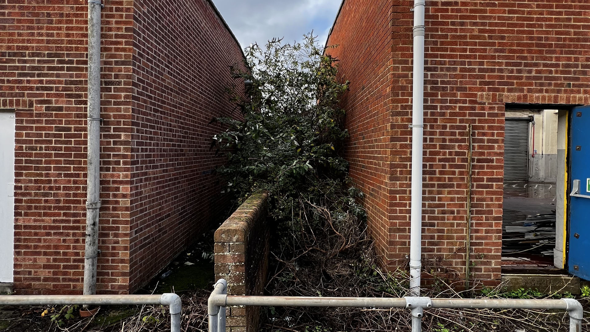Who Should You Contact First — The Council, a Surveyor, or Your Neighbour Liverpool?