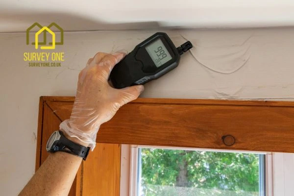 Should You Repair Party Wall Damp Yourself or Hire a Specialist Surveyor Liverpool?